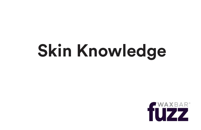 PRINT - Skin Knowledge - ENGLISH